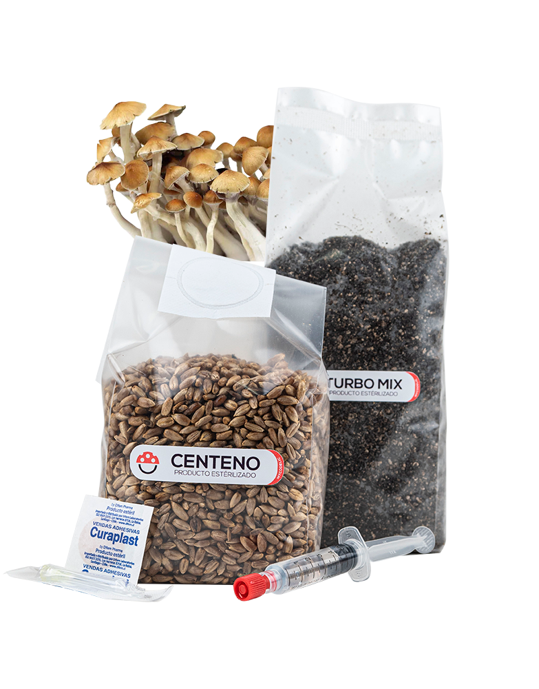 Recarga de Cultivo 80g - Explosiva