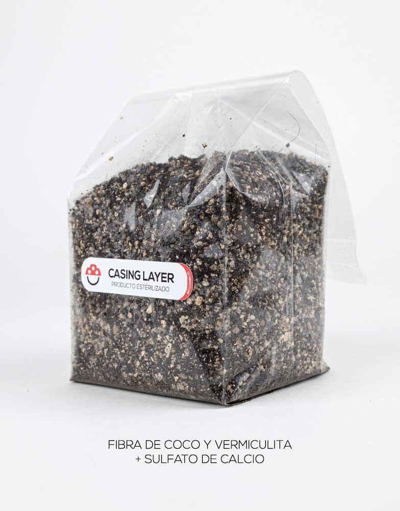 Kit Cultivo de Hongos 80g - Explosivo