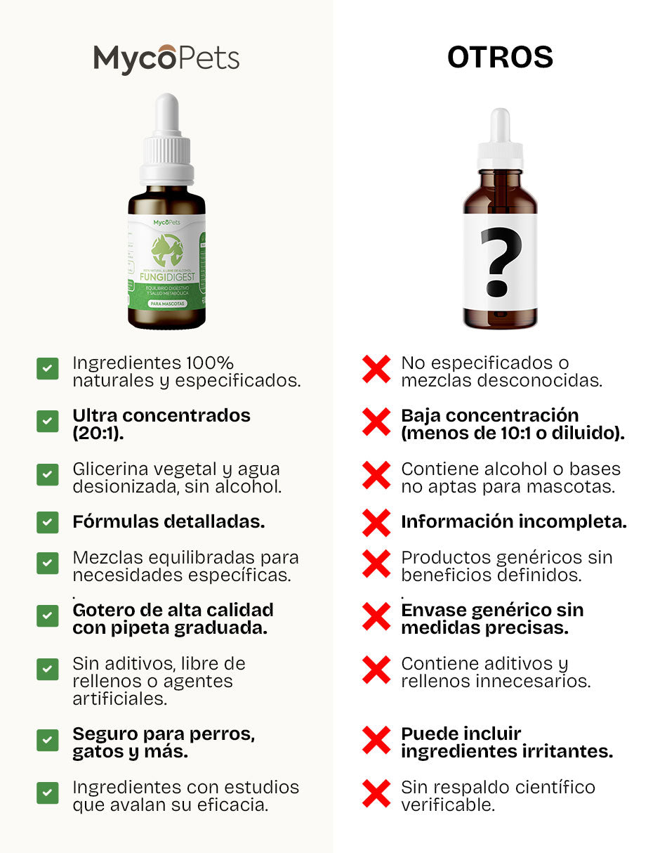 Fungi Digest - Equilibrio digestivo y salud metabólica