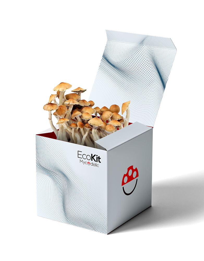 EcoKit 60g
