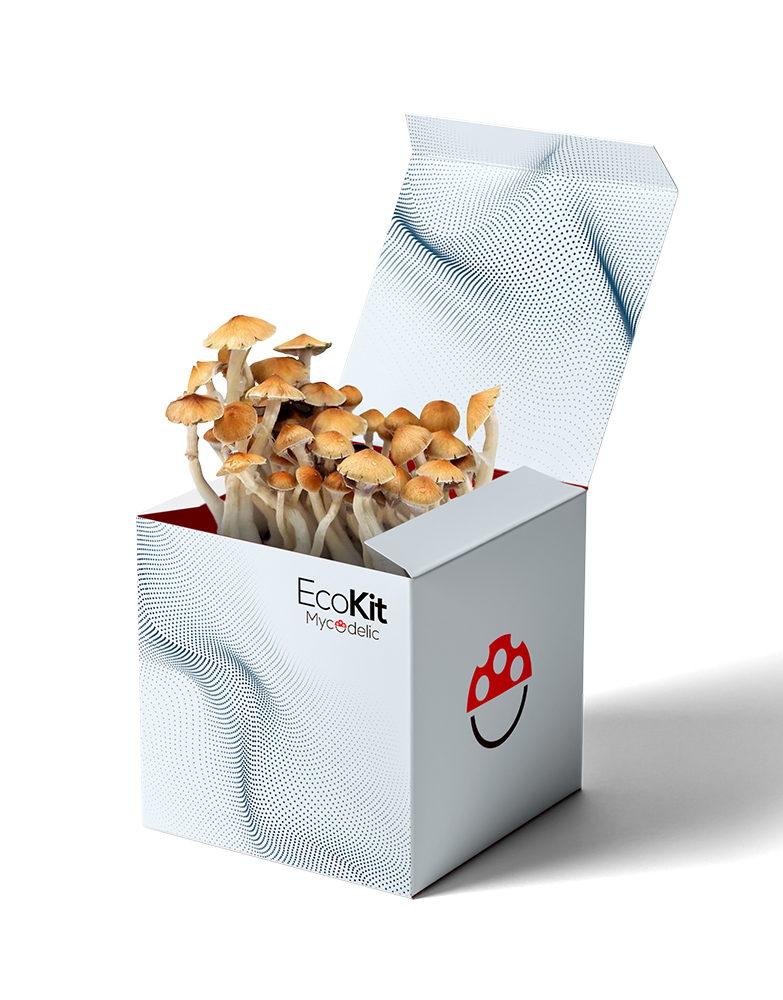 EcoKit 40g