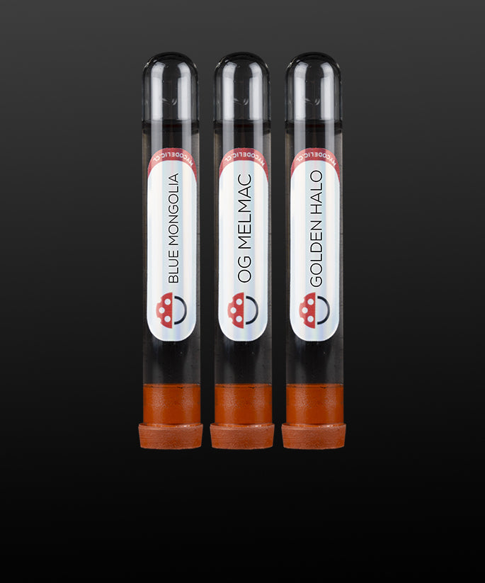 Penis Envy Uncut - Jeringa de Esporas 10ml - Mycodelic
