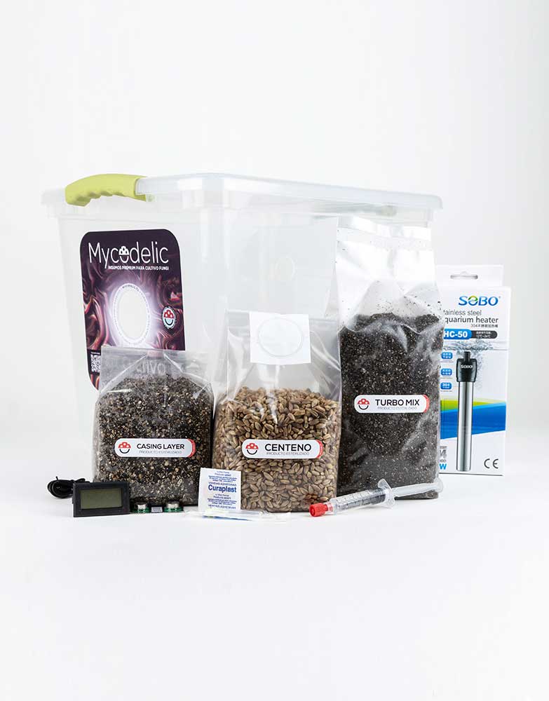 Kit Cultivo de Hongos 80g - Explosivo