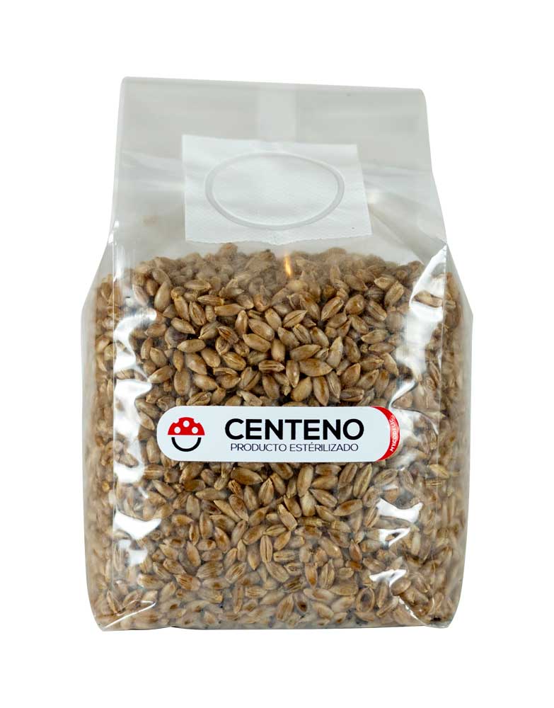 Recarga de Cultivo 80g - Explosiva