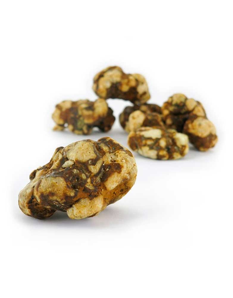 Psilocybe Atlantis (Trufera) - Jeringa de Esporas 10ml
