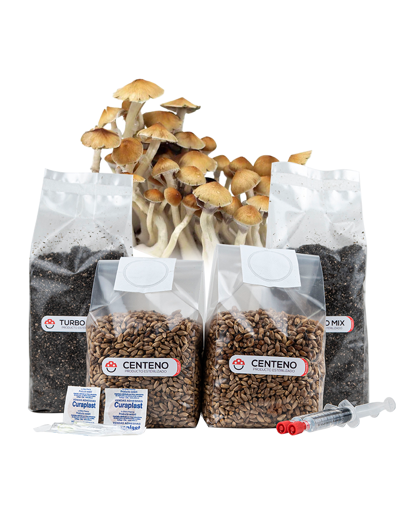 Recarga de Cultivo 160g - Explosiva