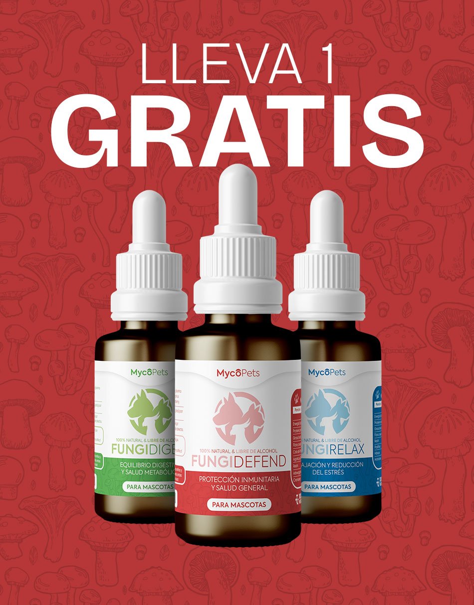 Arma Tu Triple Pack – Mascotas