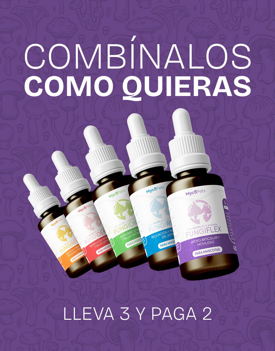 Arma Tu Triple Pack – Mascotas