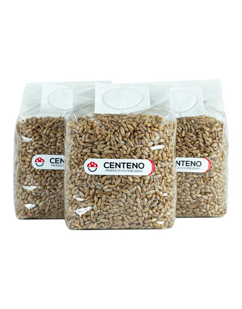 3 Mushbag Centeno - 3600cc